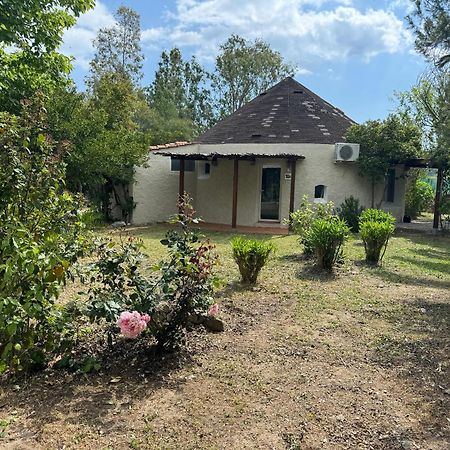 Cugnana Porto Rotondo Bungalows - Camping Exterior photo