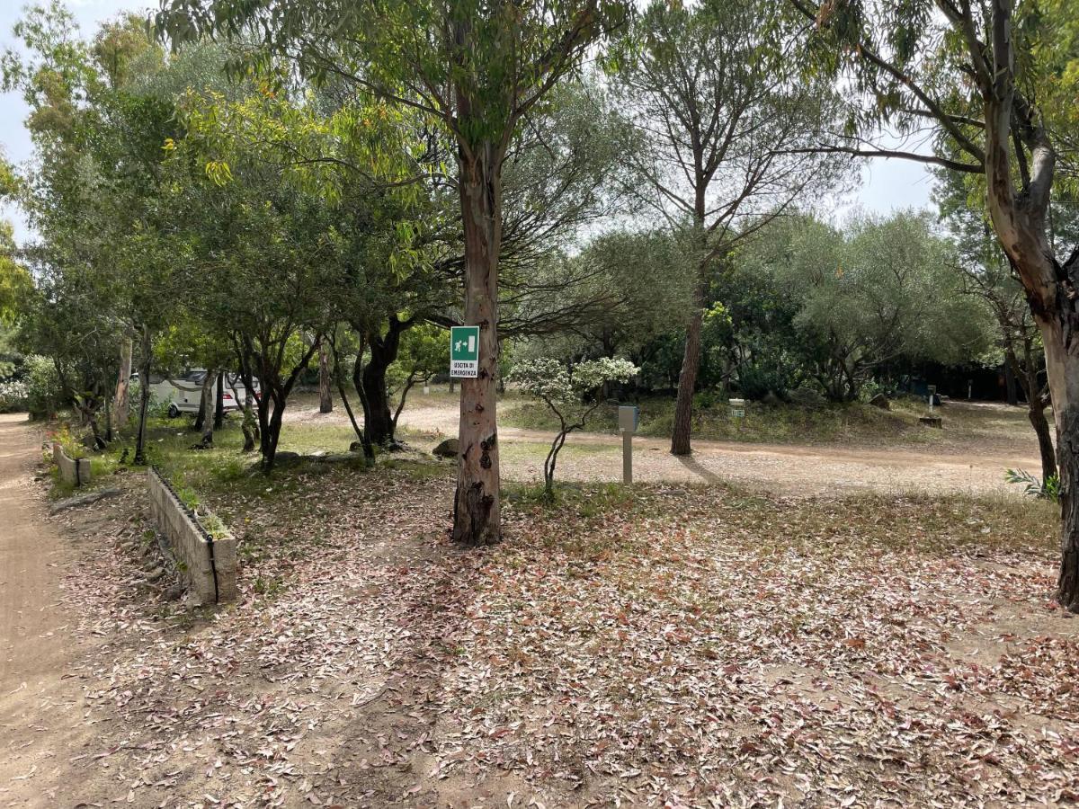 Cugnana Porto Rotondo Bungalows - Camping Exterior photo