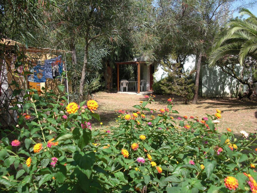 Cugnana Porto Rotondo Bungalows - Camping Room photo